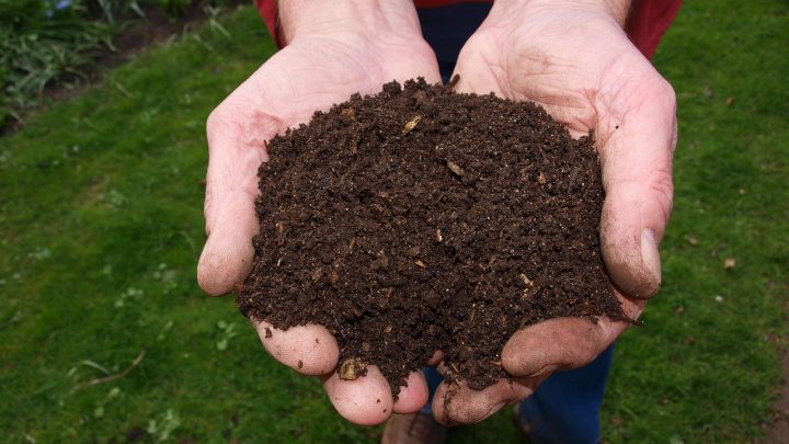 Utiliser du compost