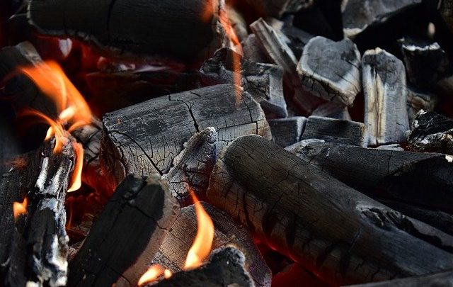 Comment choisir le bon charbon de bois ?