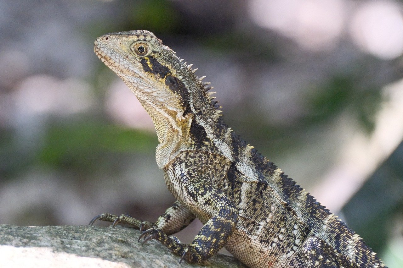 découvrez les causes et les conséquences de la perte de biodiversité locale, ainsi que les actions pour protéger la diversité des espèces dans votre environnement.